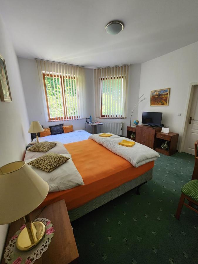 Kristoff Plaza Trencianske Teplice Apartment Trencin Luaran gambar